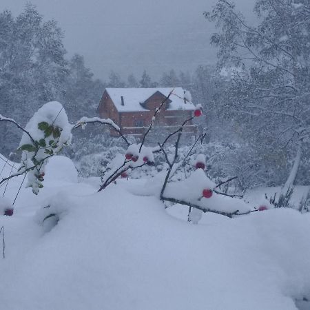 Chalet Bois Au Milieu Des Pyrenees LʼHospitalet-près-lʼAndorre Екстериор снимка