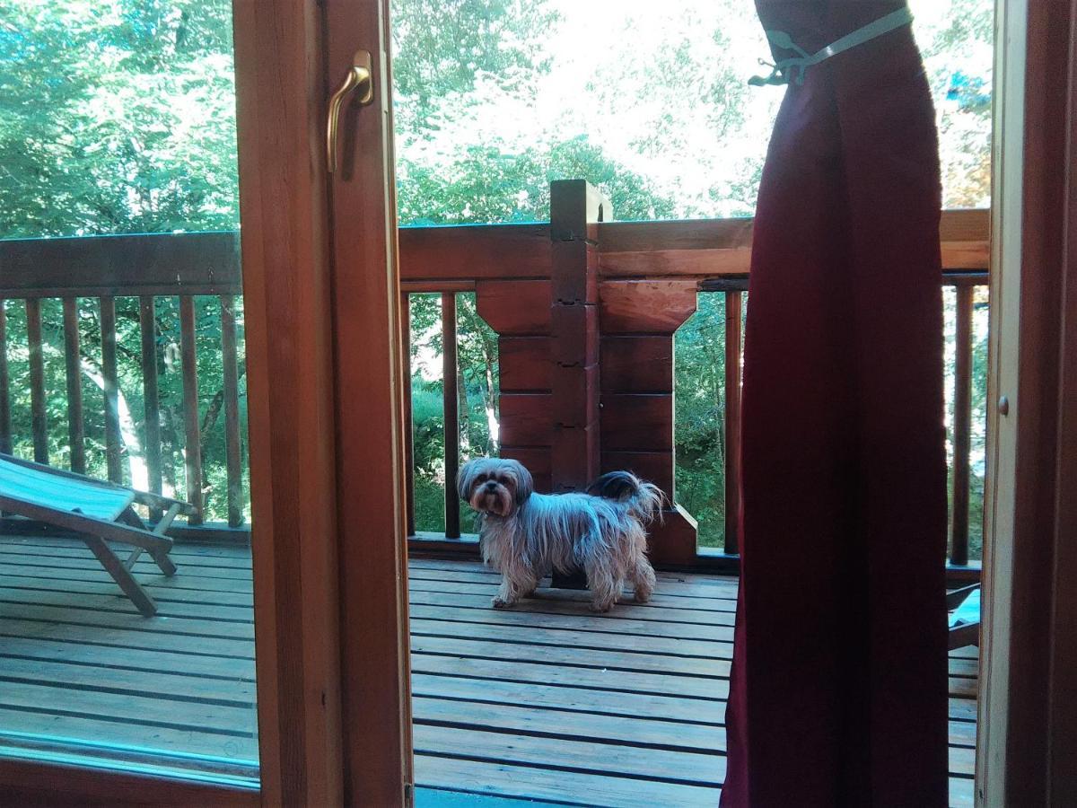 Chalet Bois Au Milieu Des Pyrenees LʼHospitalet-près-lʼAndorre Екстериор снимка